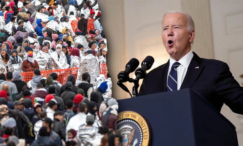 Bidens border crisis likely fueled Iranian sleeper woes former acting.png