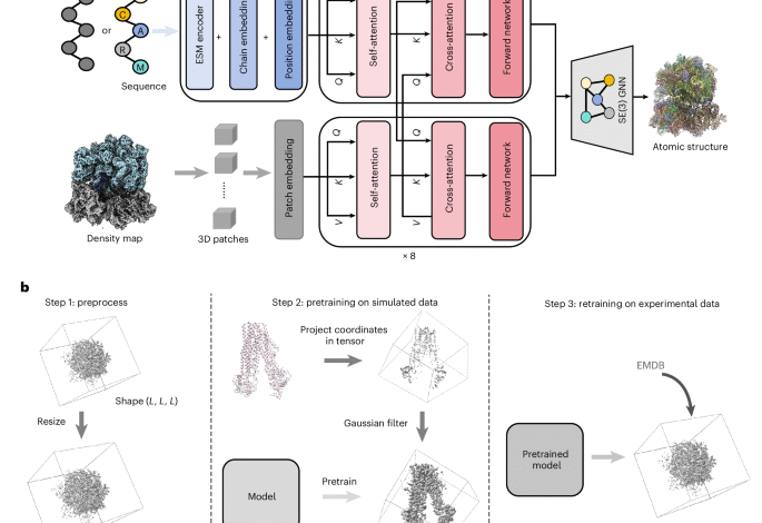 End to end cryo EM complex structure determination with high accuracy and ultra fast.png