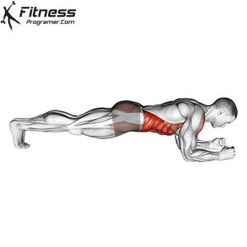 Plank versus SIT-UP: What builds a stronger essence? 5 Plate
