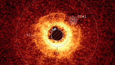 NASAS James Webb Space Telescope has captured its first direct.png