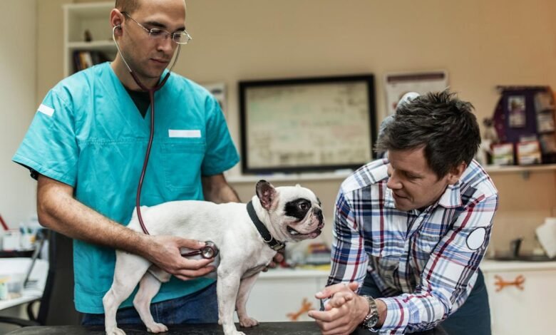 Pet insurance that covers preexisting conditions.jpeg