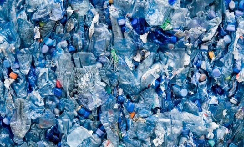 Plastic Bottles or Glass Bottles.jpg
