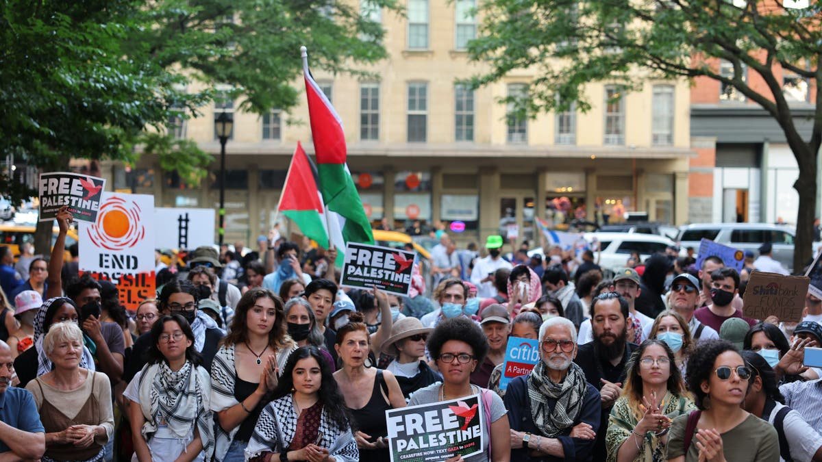 "Palestine free" Protest in New York City in June 2024