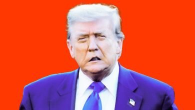 Trump Goes Haywire on AI Regulation After China Agrees to.jpg