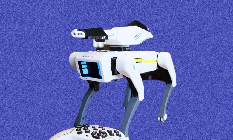 We Bought a ‘Peeing Robot Attack Dog From Temu It.jpg