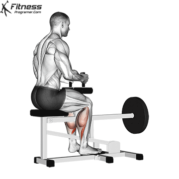 How to Get Bigger Calves – Why You Haven’t Been Able To 24 Lever Seated Calf Raise