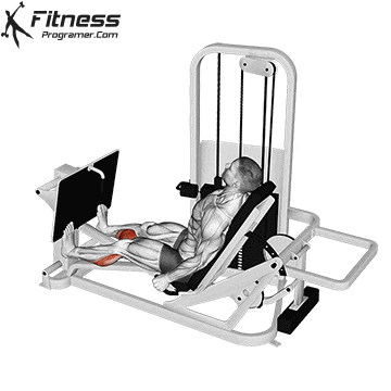 How to Get Bigger Calves – Why You Haven’t Been Able To 27 Seated Calf Press on Leg Press Machine