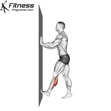 How to Get Bigger Calves – Why You Haven’t Been Able To 30 Standing Wall Calf Stretch