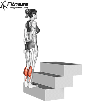 How to Get Bigger Calves – Why You Haven’t Been Able To 23 Standing Calf Raise