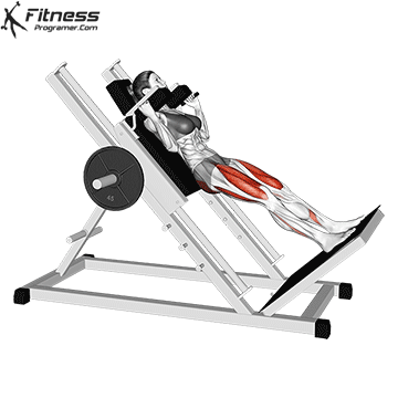 Hack Squats Machine