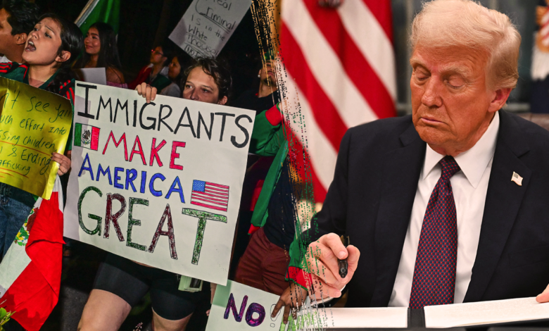 1751466785 Trump admin tells court it could enforce birthright citizenship order.png