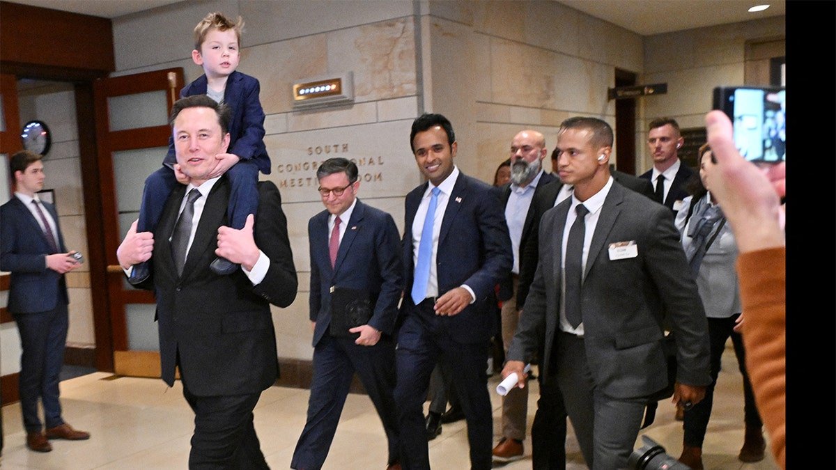 Ramasuami and musk