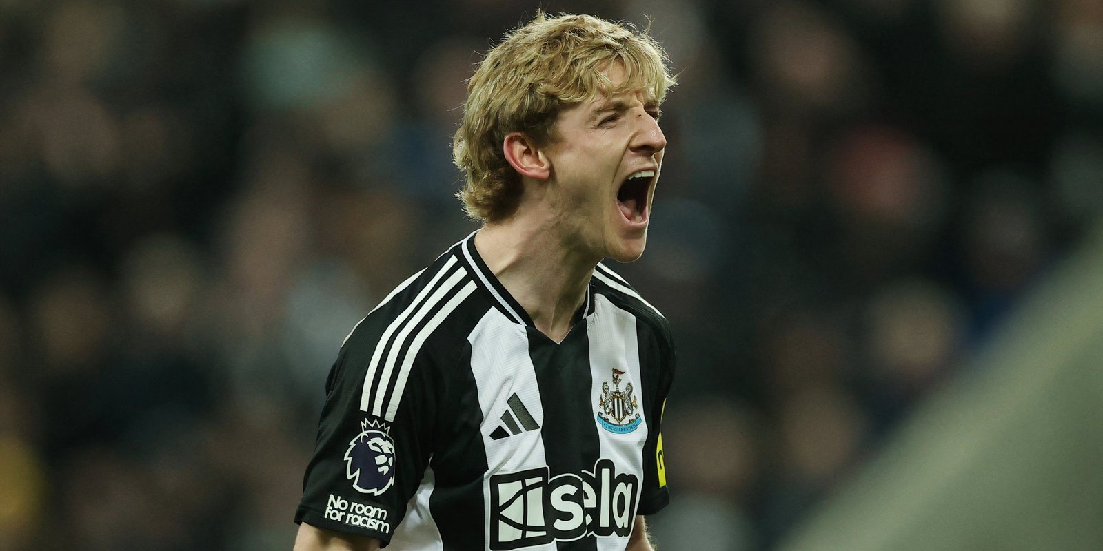 Anthony Gordon celebrates Newcastle