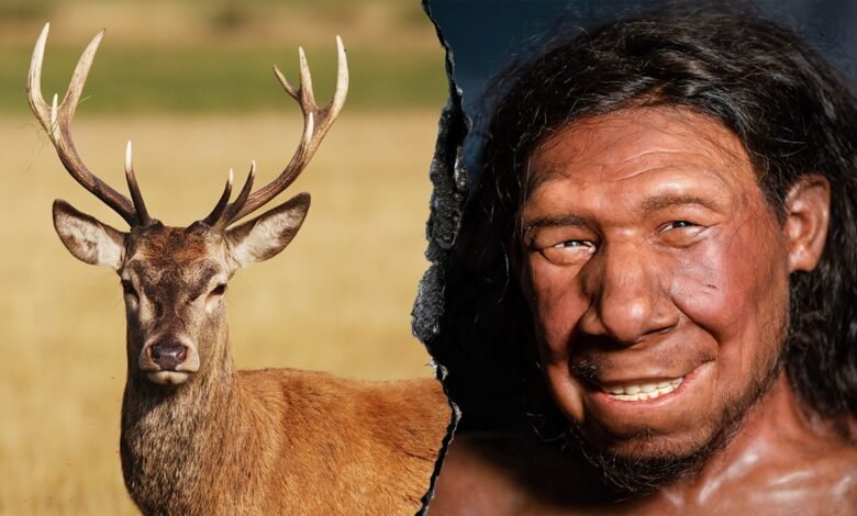 1751678504 Neanderthals ran fat factory 125000 years ago study finds.jpg