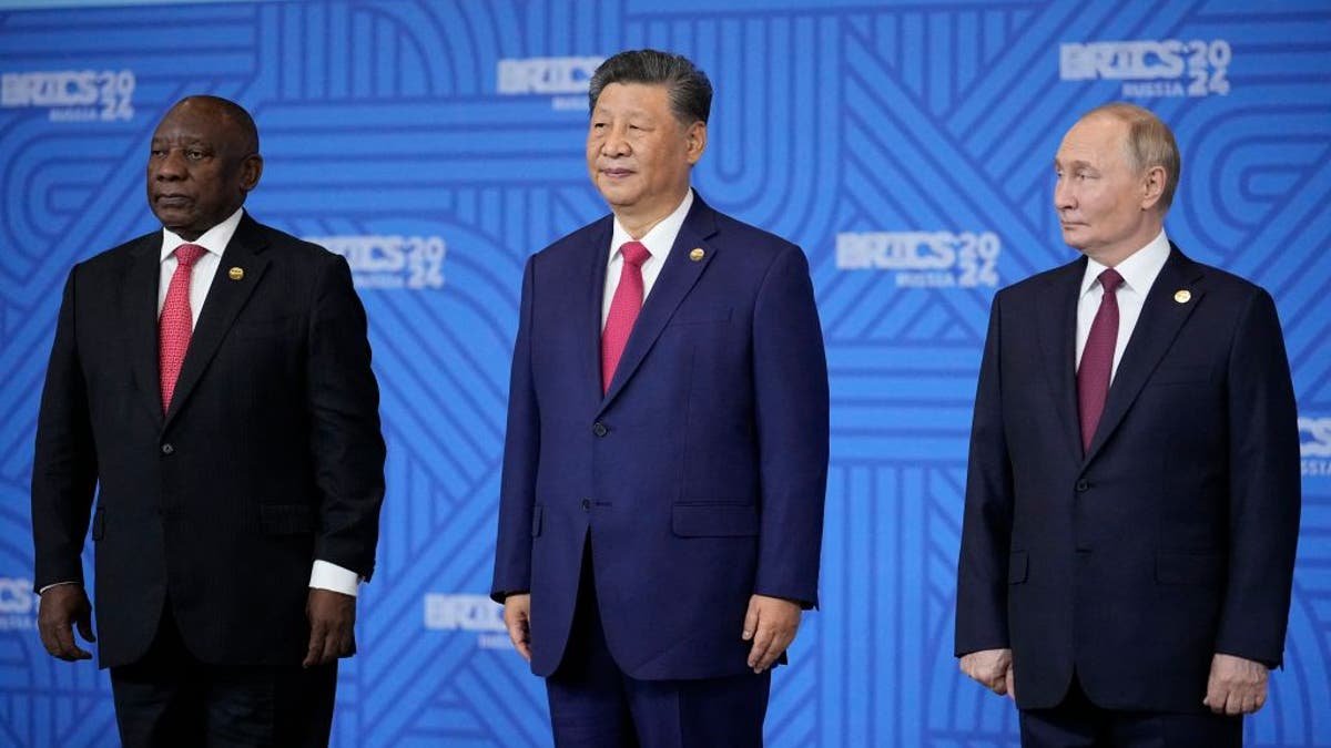 World leaders are raised at the BRICS Summit last year.