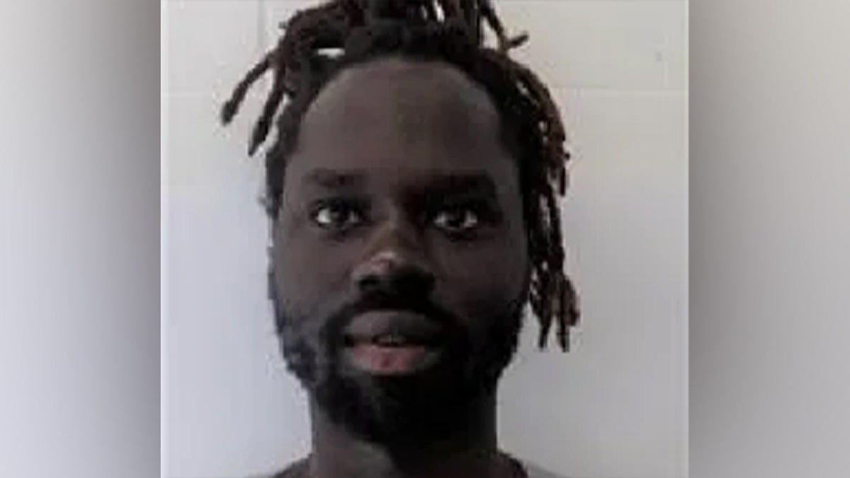 Diane Peter Domak, an illegal foreigner from South Sudan