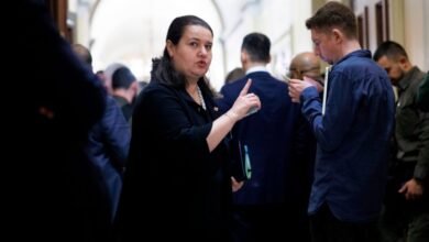 1751903319 Zelenskyy vowed to replace US envoy criticised by Trump allies.jpg