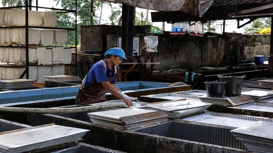 A worker in Thailand makes latex leaves