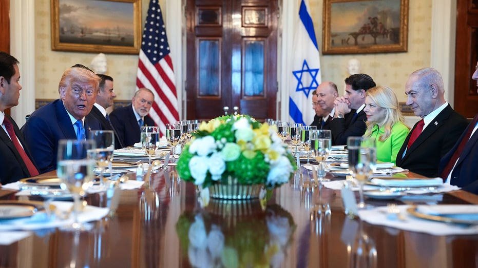 Trump meets Netanyahu at the White House