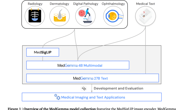 1752138392 Google AI Open Sourced MedGemma 27B and MedSigLIP for Scalable Multimodal.png
