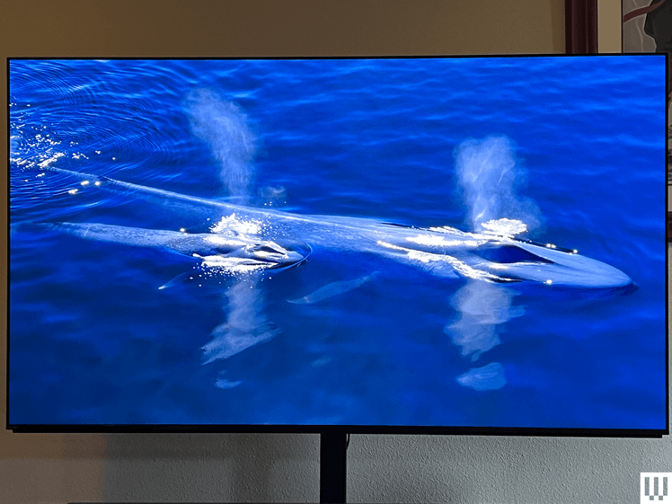 Image may contain: Computer Hardware, Electronics, Hardware, Monitor, Screen, and TV