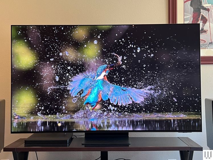 Samsung S95D, a large screen tv with the screen showing a bird emerging out of water in slow motion