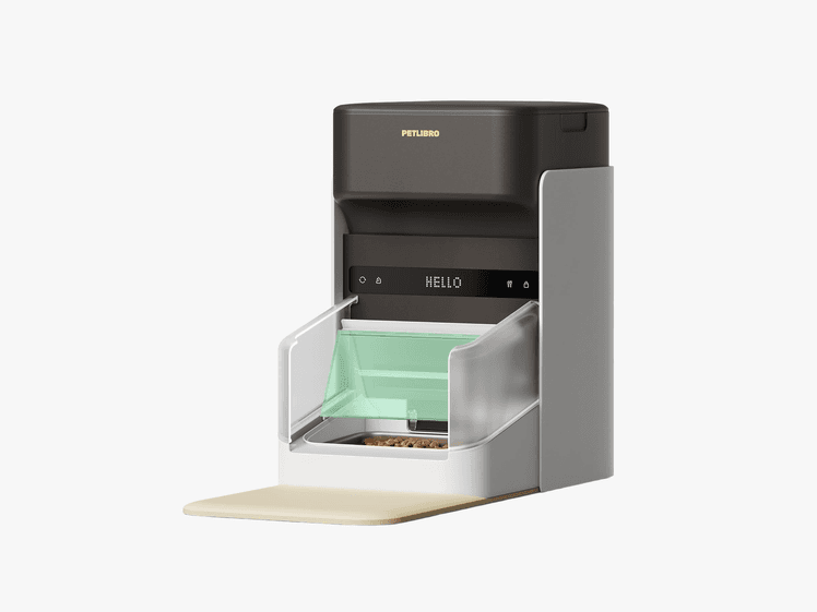 Image may contain: Mailbox