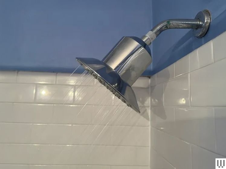 Image may contain: Indoors, Bathroom, Room, and Shower