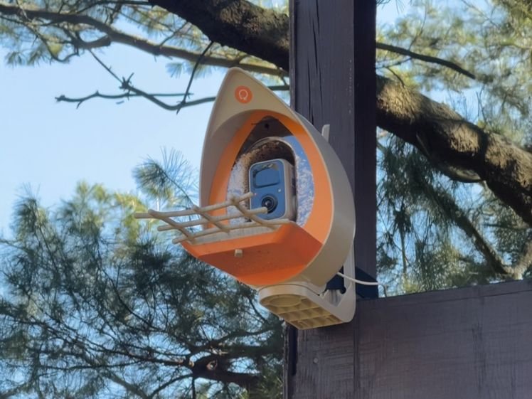 Image may contain: Person, and Security