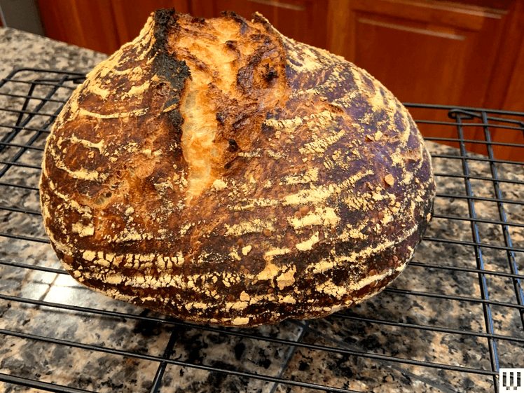 The image may contain: bread, food, fungi, planting and cakes