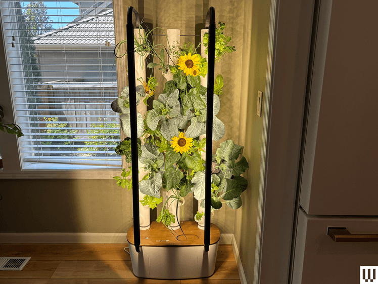 The image may have: flower, flower arrangement, plant, ichbana, sunflower, flower bouquet, interior, interior design