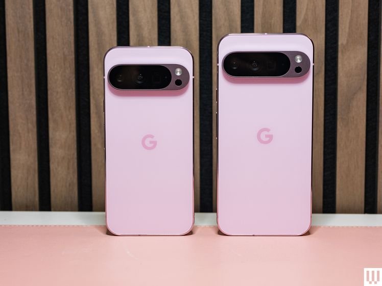 Back view of Google Pixel 9 Pro and Pro X.L., 2 pink mobile phones side-by-side propped up against wooden panel wall while showing the oval-shaped cameras. 