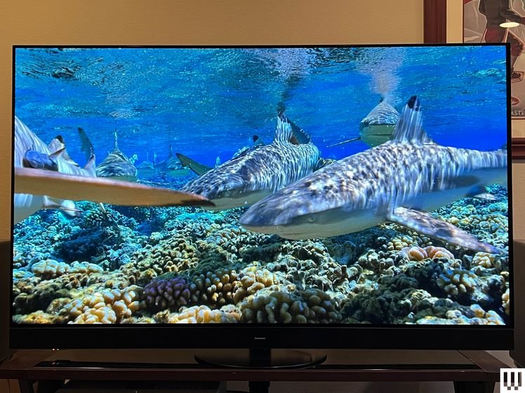 Front view of a Panasonic Z95A OLED TV, the screen showing a vivid underwater scene of coral and fish