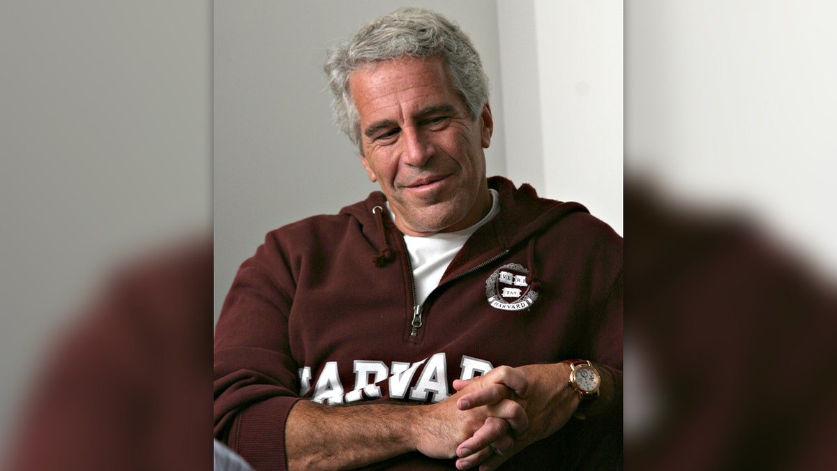 Jeffrey Epstein Harvard Sitra
