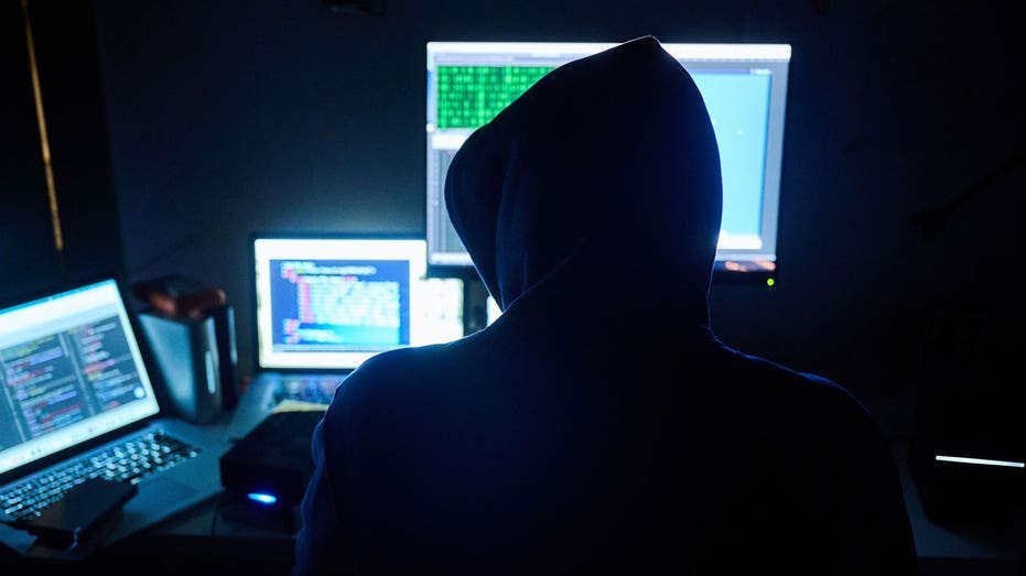 You see a man on a computer while you see fake HTML pages and infiltrators programs on screens in front of him.