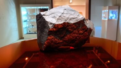 1752459906 Largest Mars meteorite on Earth heads to auction with 4.jpg