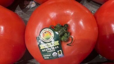 1752549622 Fresh Mexican tomatoes singled out for 17 tariff.jpg