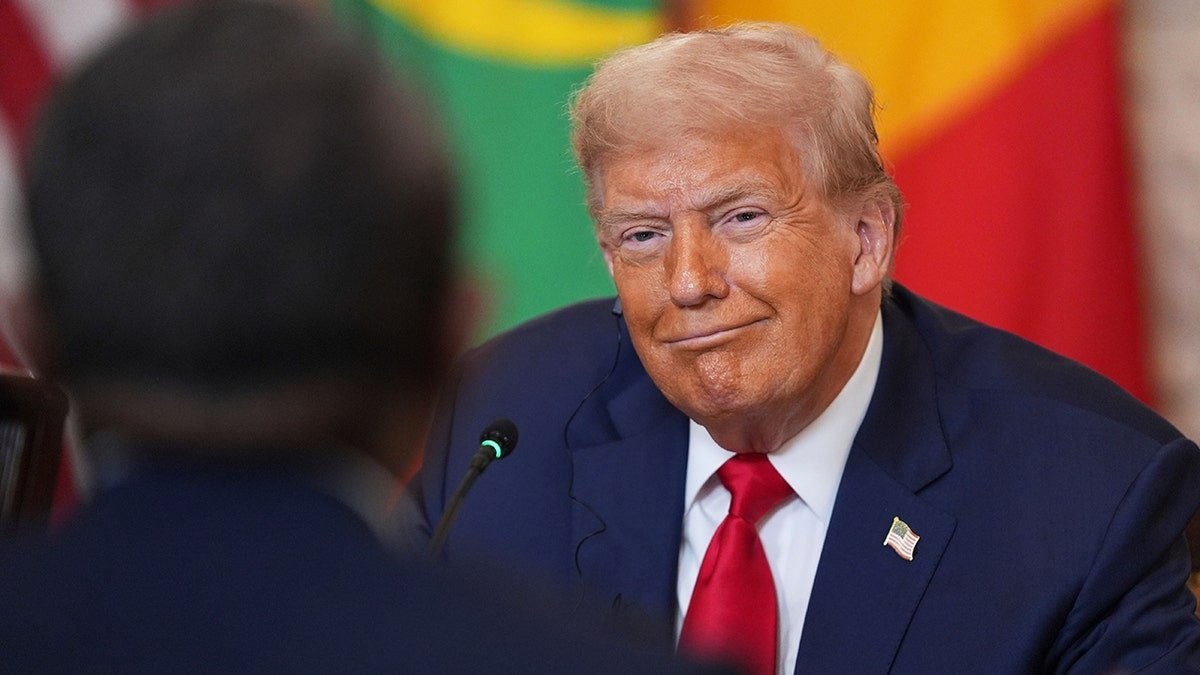 Trump is smiling at a White House meeting with African leaders