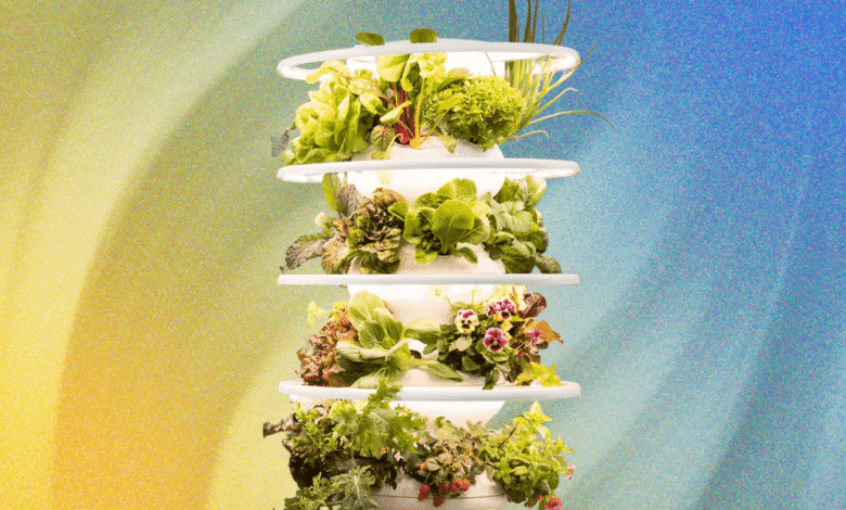 1752851259 Lettuce Grow Indoor Farmstand Review Grow Your Own.png