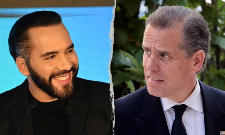 1753262789 Fox News Politics Newsletter Salvadoran president mocks Hunter Biden threat.jpg