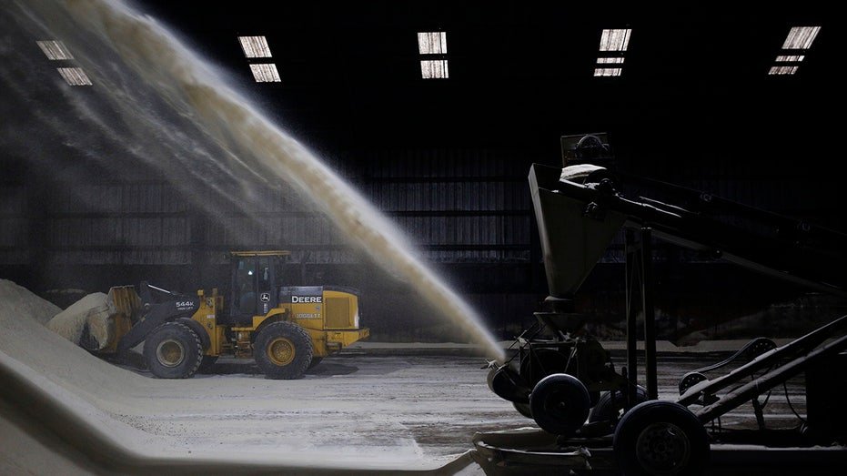 Sugar cane production