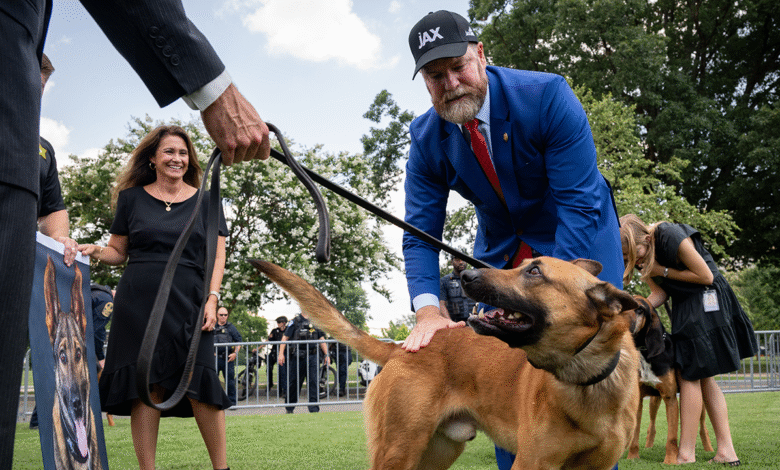1753303116 New bill would strengthen penalties for attacks on police K9s.png