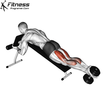 The dumbbell leg declined