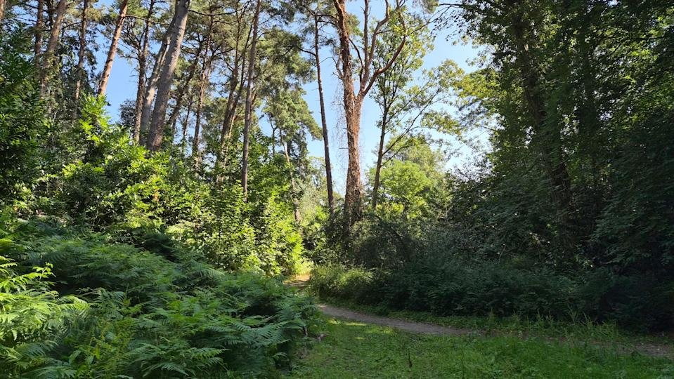 Galaxy Z Flip 7 Review