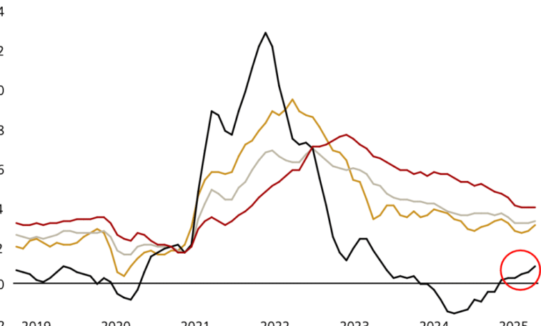 1753495436 America is starting to eat Trumps tariff TACO salad UBS.png