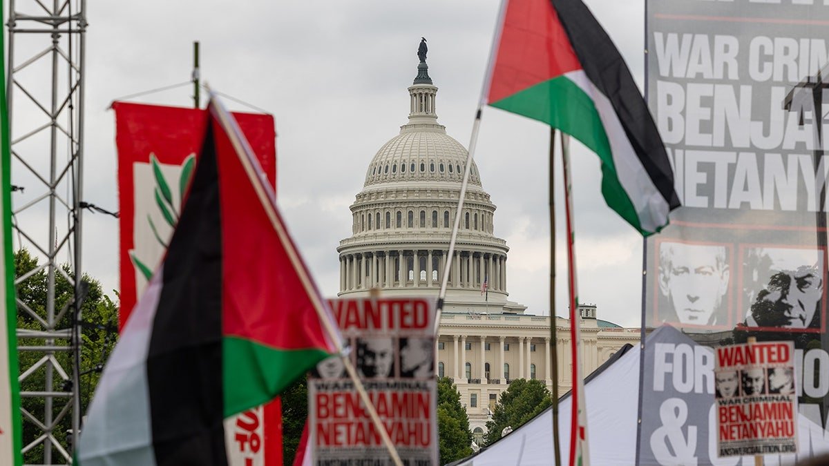 Capitol building, which was seen behind the Palestinian flags, and signs
