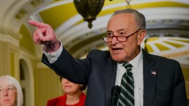 1753880843 Schumer calls for FBI assessment on Epstein files potential security.jpg