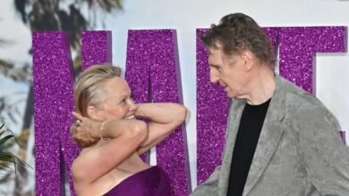 1753881226 About Pamela Andersons Budding Romance With Liam Neeson.jpg