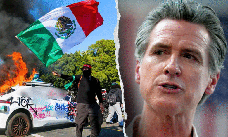 1753884520 Gavin Newsom denies Dem sanctuary policies to blame for crime.png
