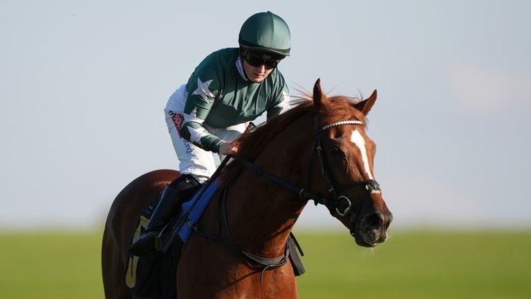 Hollie Doyle Ride Nebras is scheduled to ride on Thursday